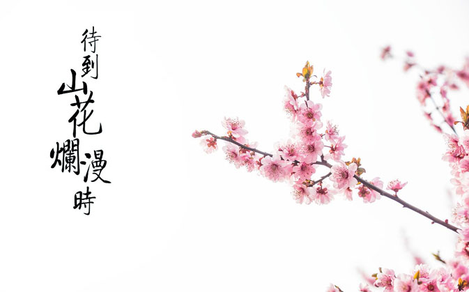 古風(fēng)短篇小說(shuō)：桃燼