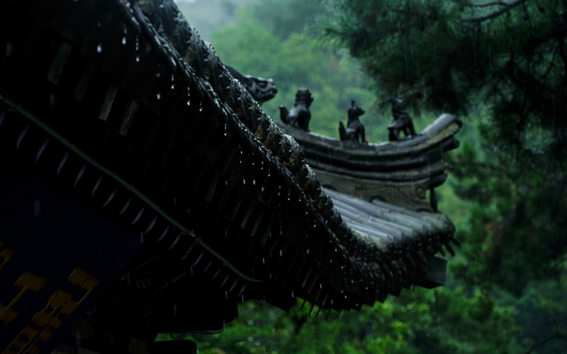 《七絕》閑庭聽雨