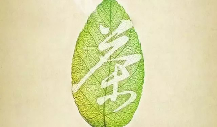 央視紀(jì)錄片《茶，一片樹葉的故事》簡介