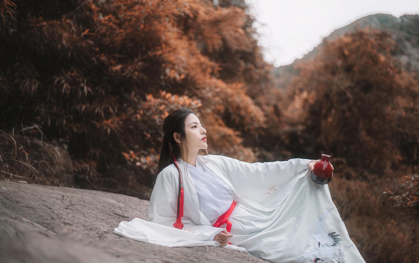 煙雨蓮花 夢留江南(圖2)