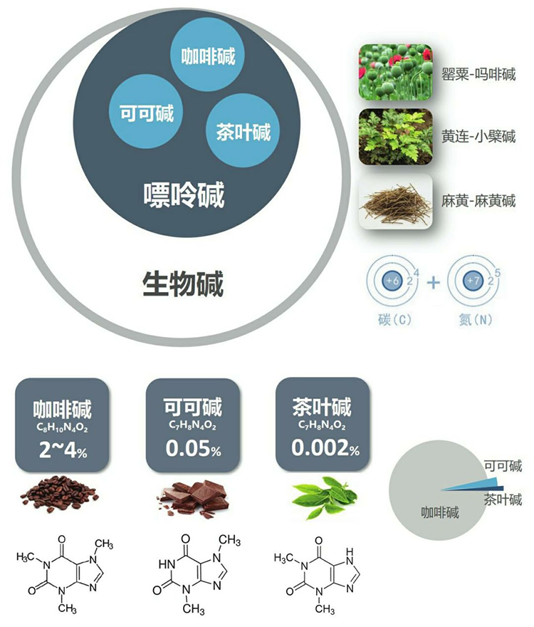 茶葉的初級(jí)代謝及次級(jí)代謝產(chǎn)物——咖啡因(圖1)